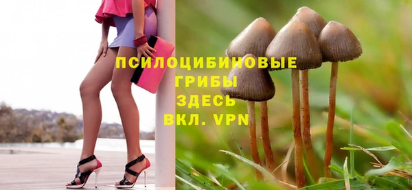 apvp Абдулино