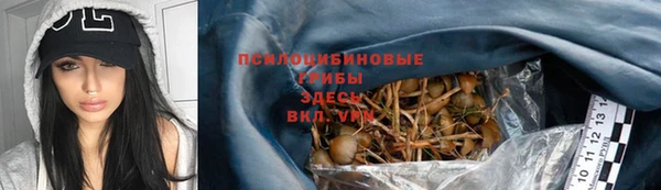 apvp Абдулино