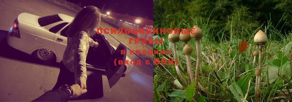 apvp Абдулино